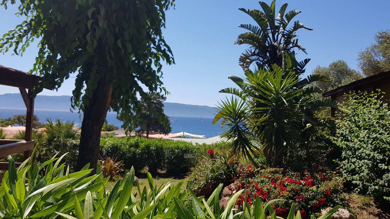 Photo of Outdoor in Porto Pollo