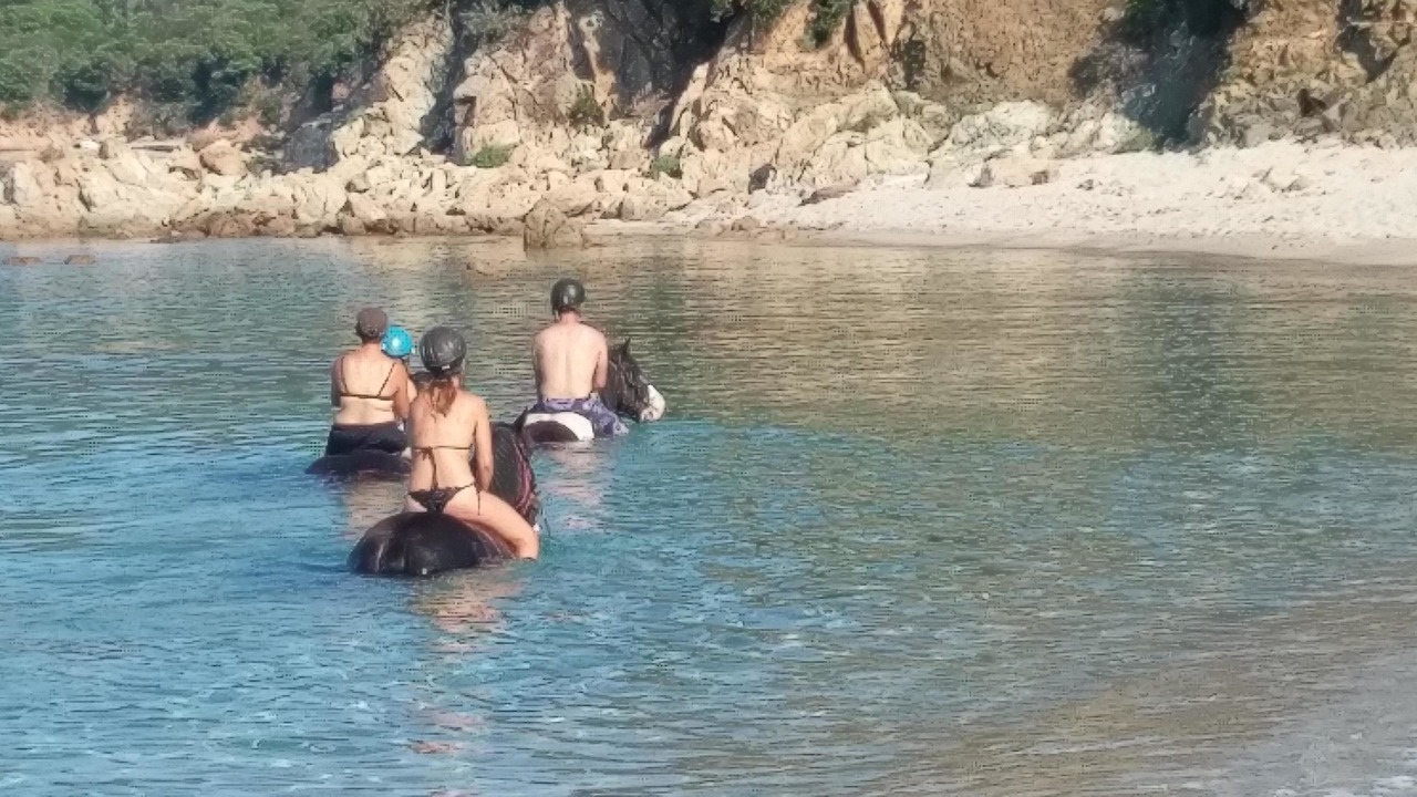 Photo of Others in Porto Pollo