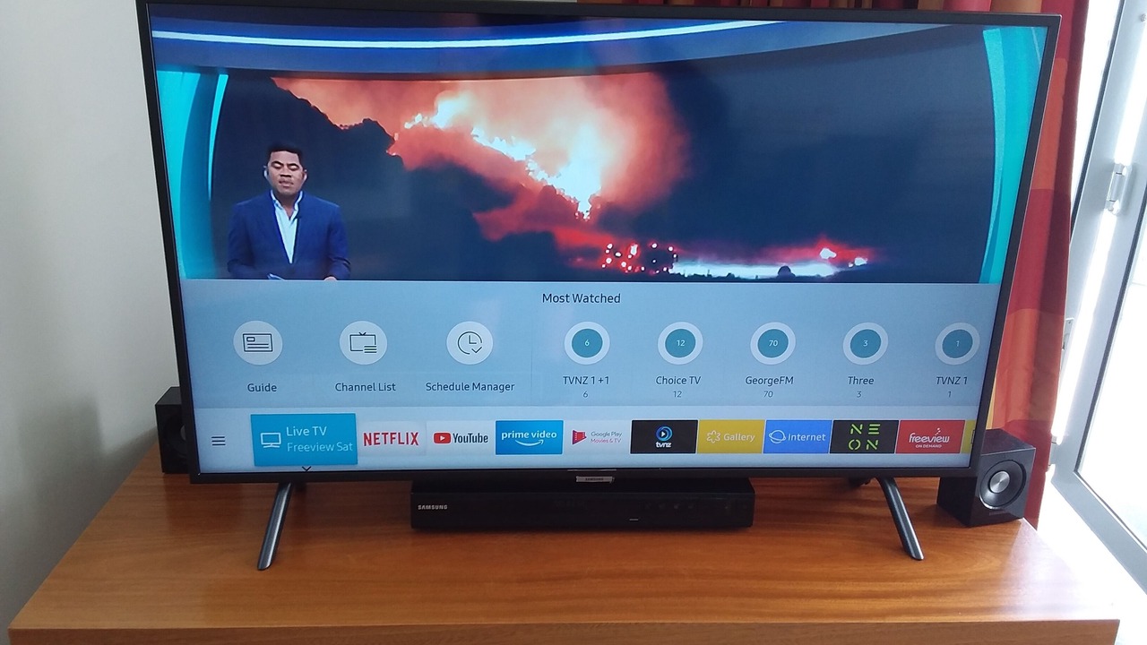 Photo of Others in Paihia