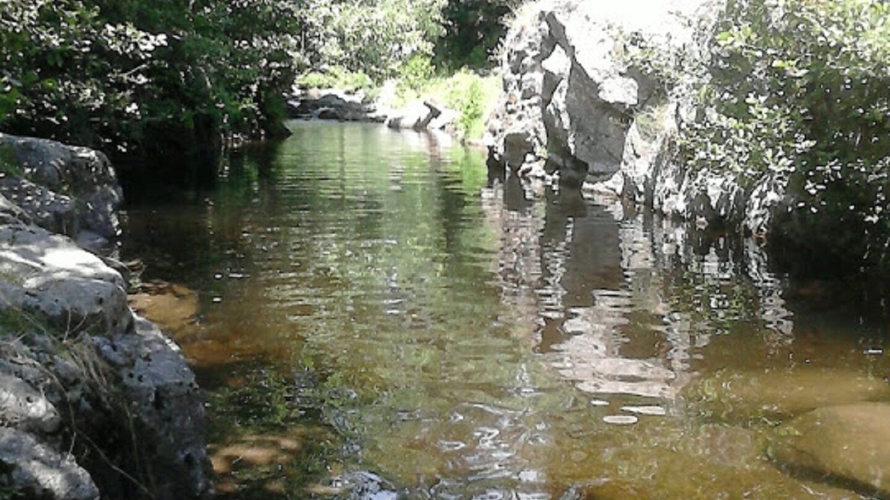 Photo of Outdoor in Lasalle