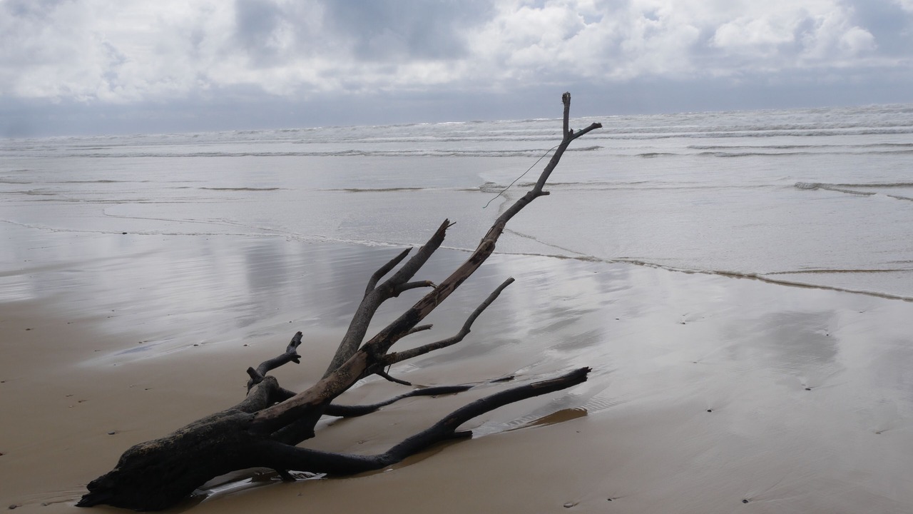 Photo of Others in Biscarrosse