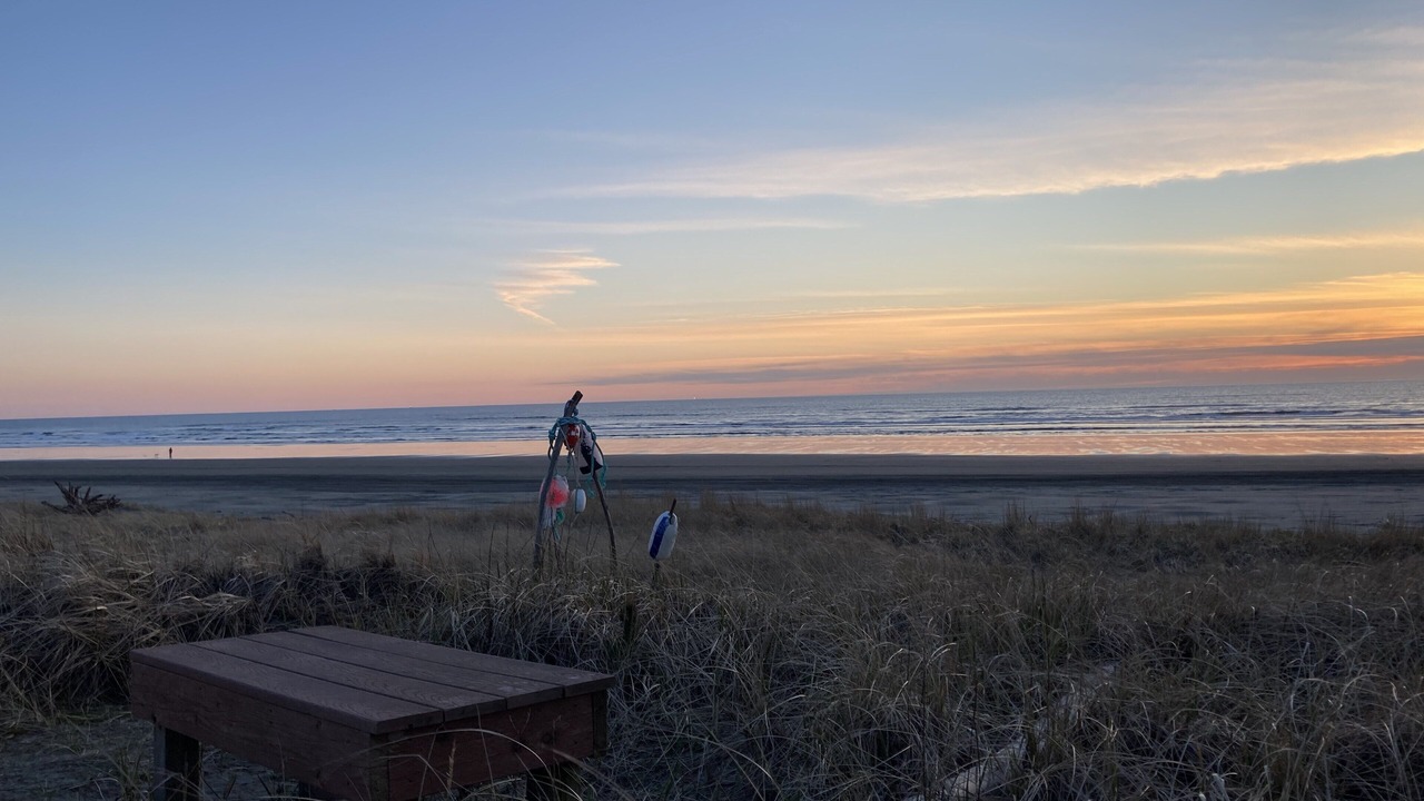 Photo of Others in Grayland