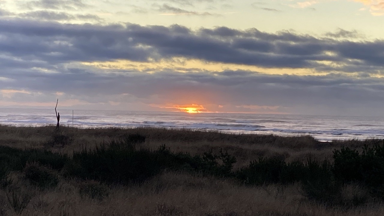 Photo of Others in Grayland