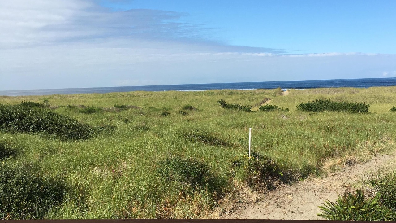 Photo of Others in Grayland