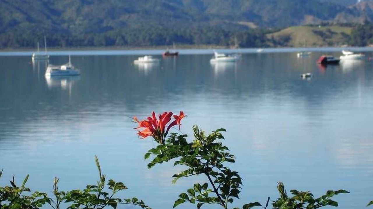 Photo of Others in Coromandel