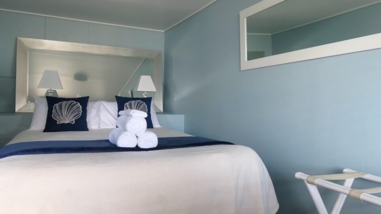 Photo of Others in Coromandel