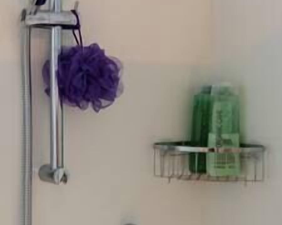 Photo of Others in Oriental Bay