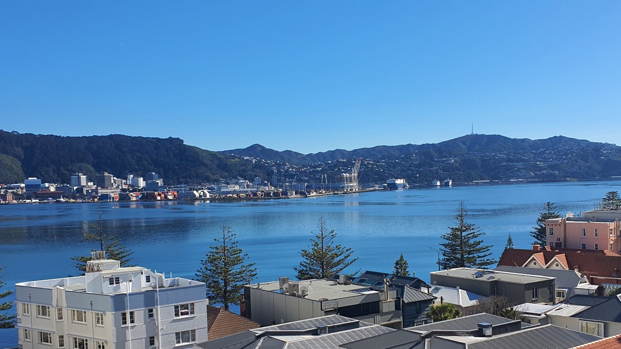 Photo of Others in Oriental Bay