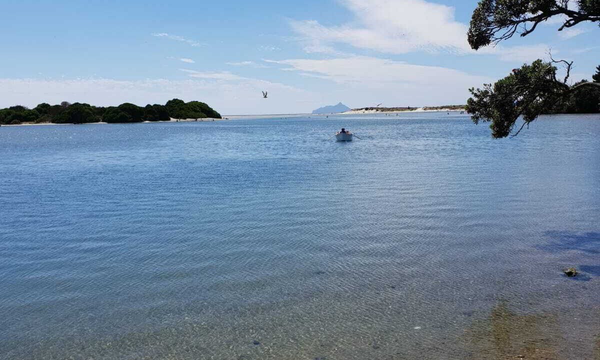 Photo of Others in Ruakaka