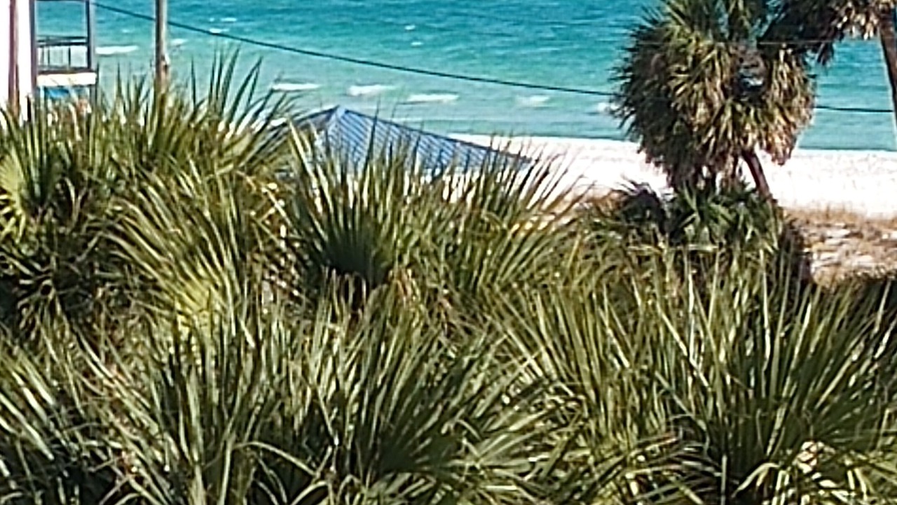Photo of Others in Miramar Beach