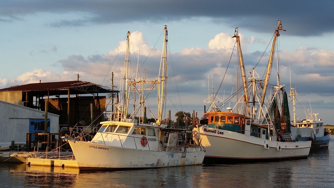 Photo of Others in Tarpon Springs