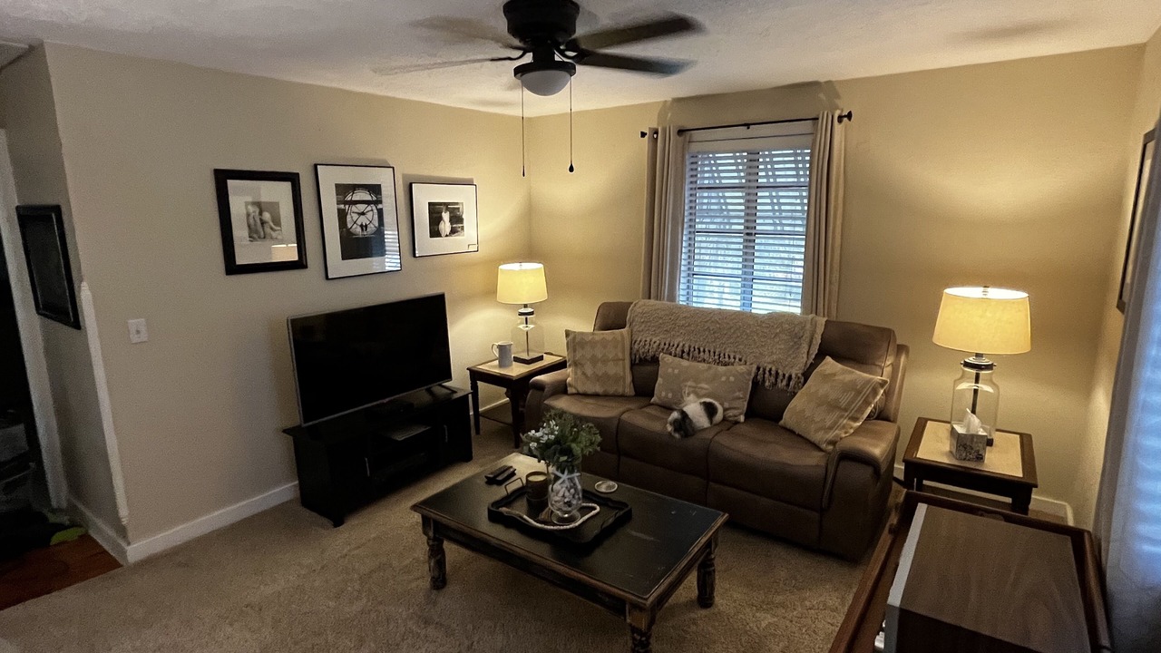 Photo of Livingroom in Tarpon Springs
