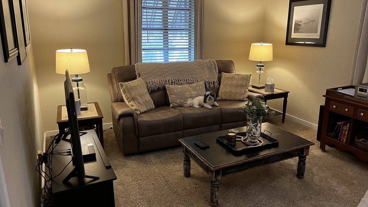 Photo of Livingroom in Tarpon Springs