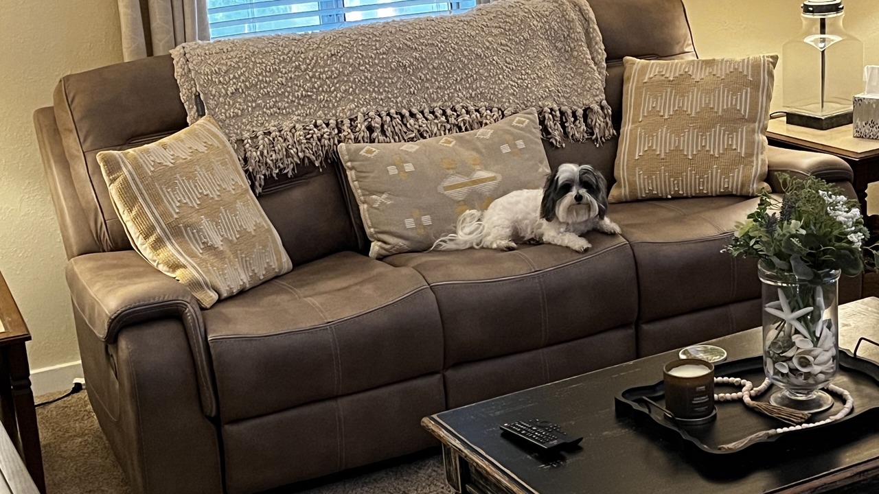 Photo of Livingroom in Tarpon Springs