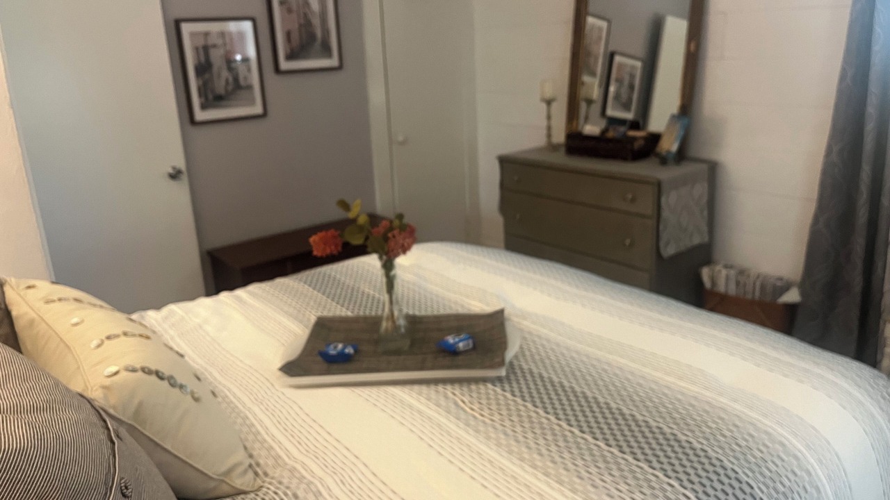 Photo of Bedroom in Tarpon Springs