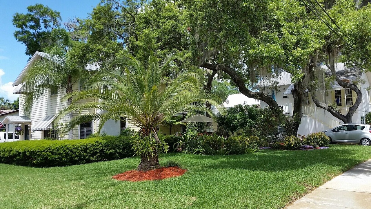 Photo of Outdoor in Tarpon Springs