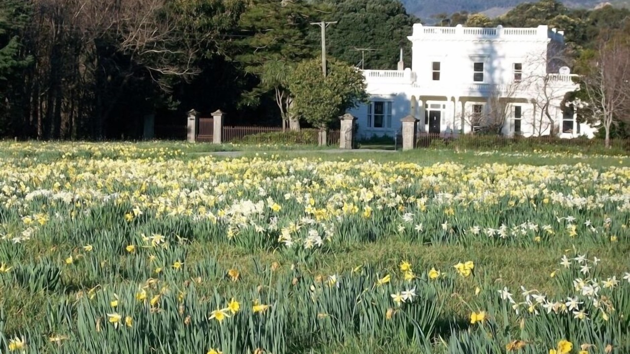 Photo of Others in Whangaimoana