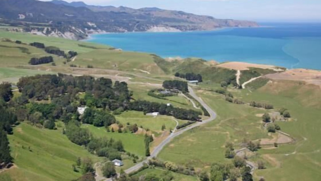 Photo of Others in Whangaimoana