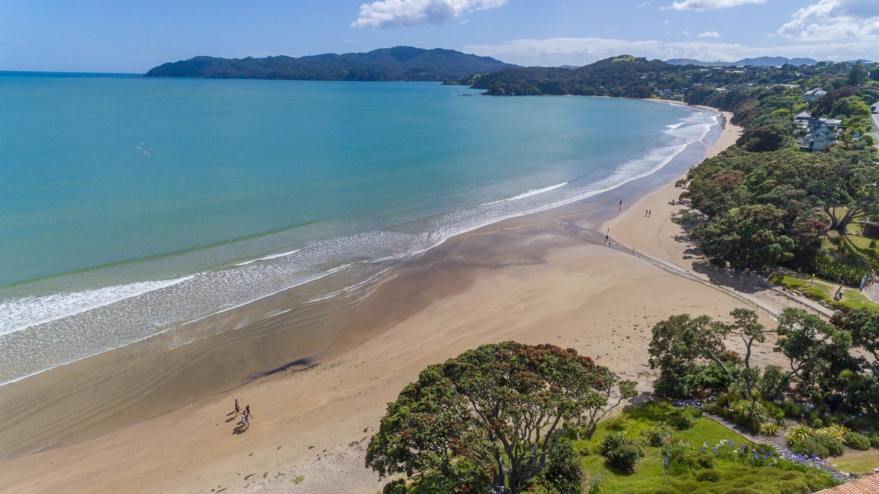 Photo of Others in Coopers Beach