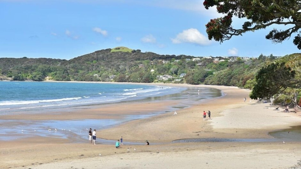 Photo of Others in Coopers Beach