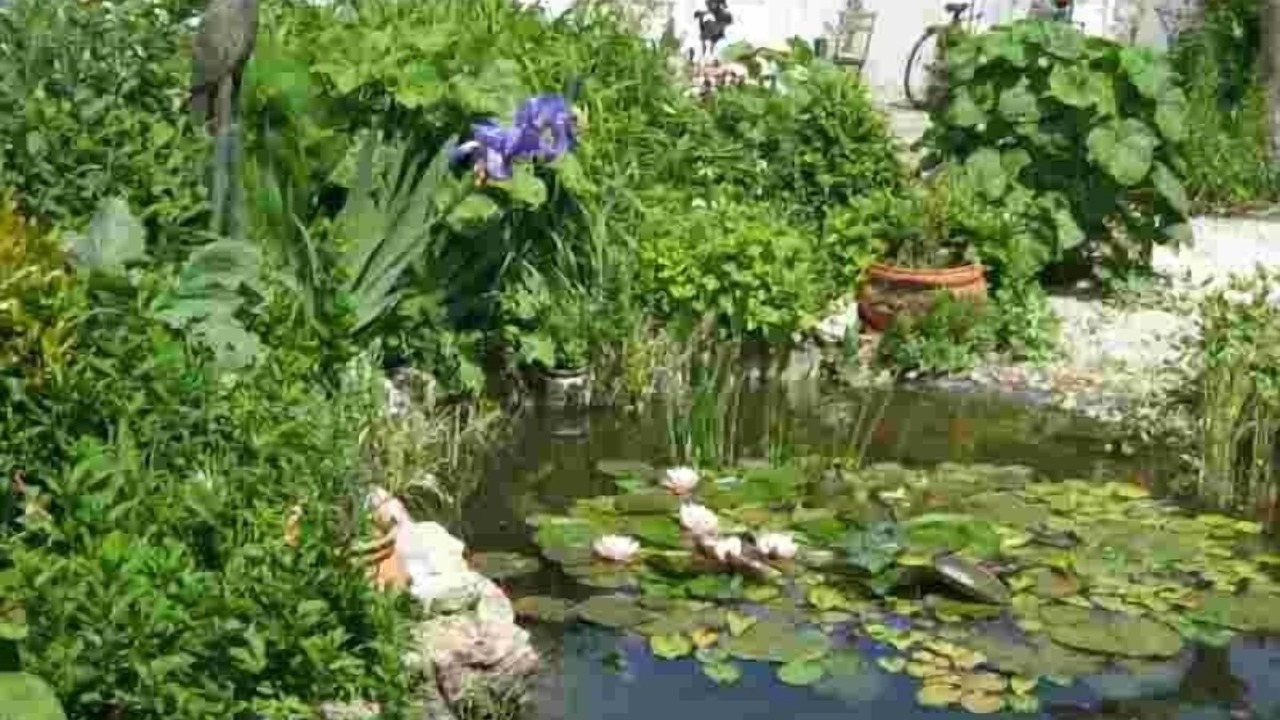 Photo of Outdoor in Port-des-Barques