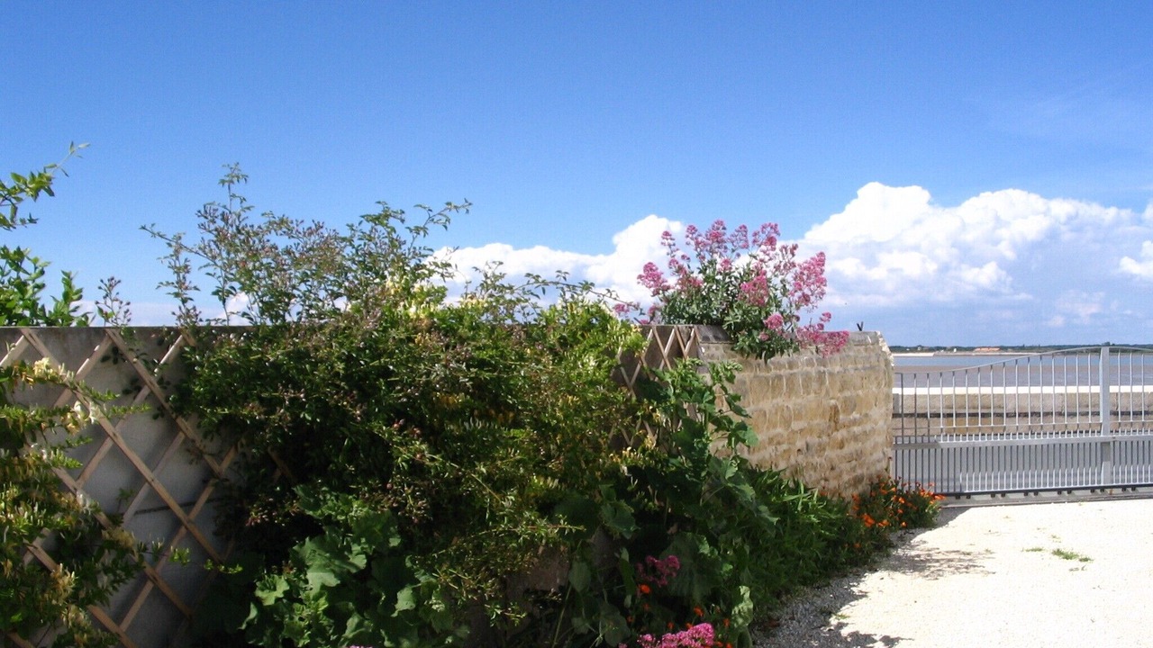 Photo of Outdoor in Port-des-Barques