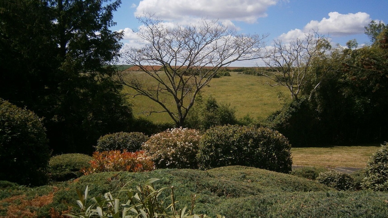 Photo of Outdoor in Pissotte