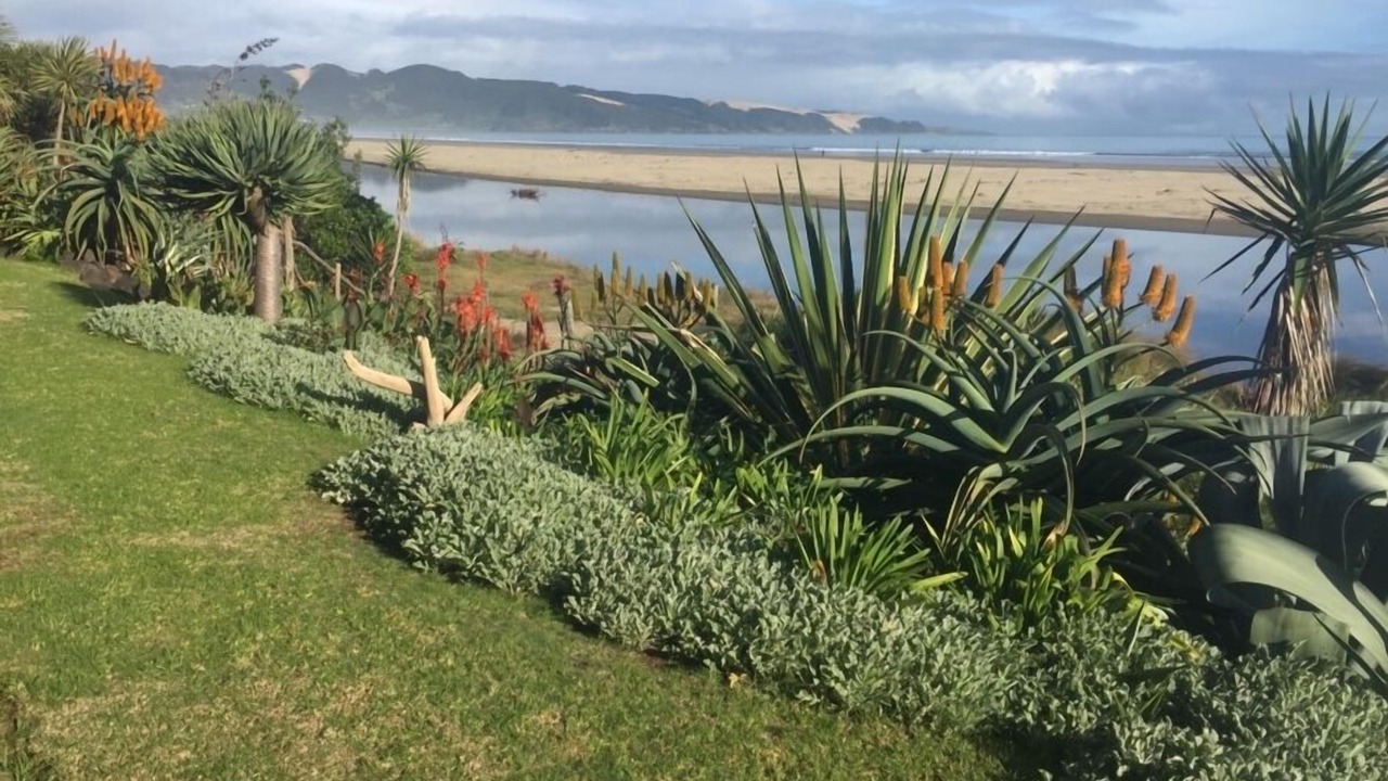 Photo of Others in Ahipara