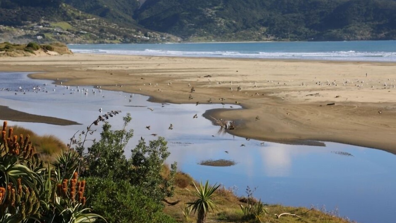 Photo of Others in Ahipara