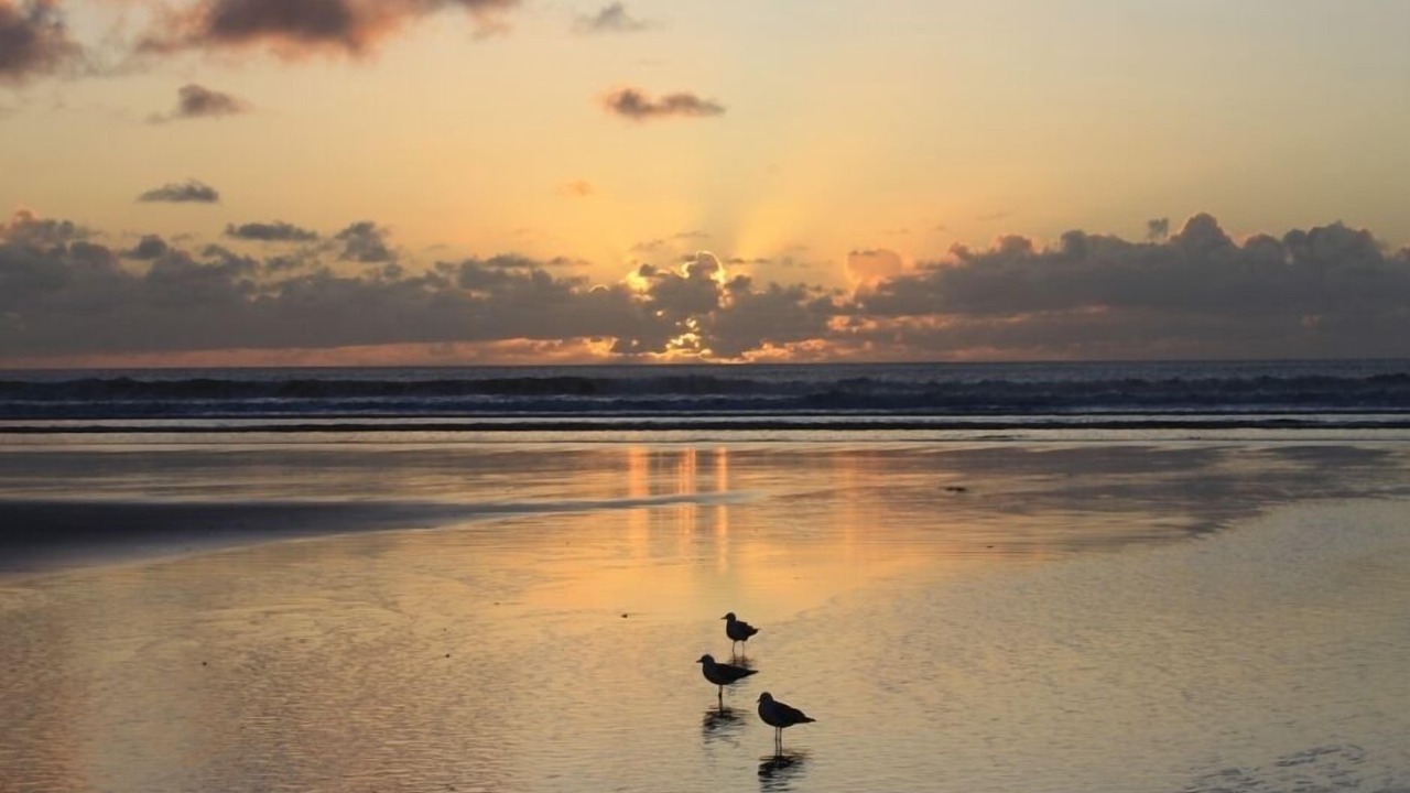 Photo of Others in Ahipara