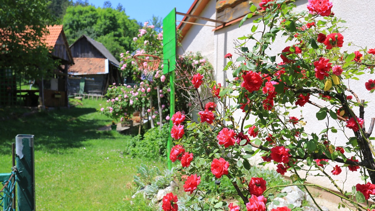 Photo of Outdoor in Perusic