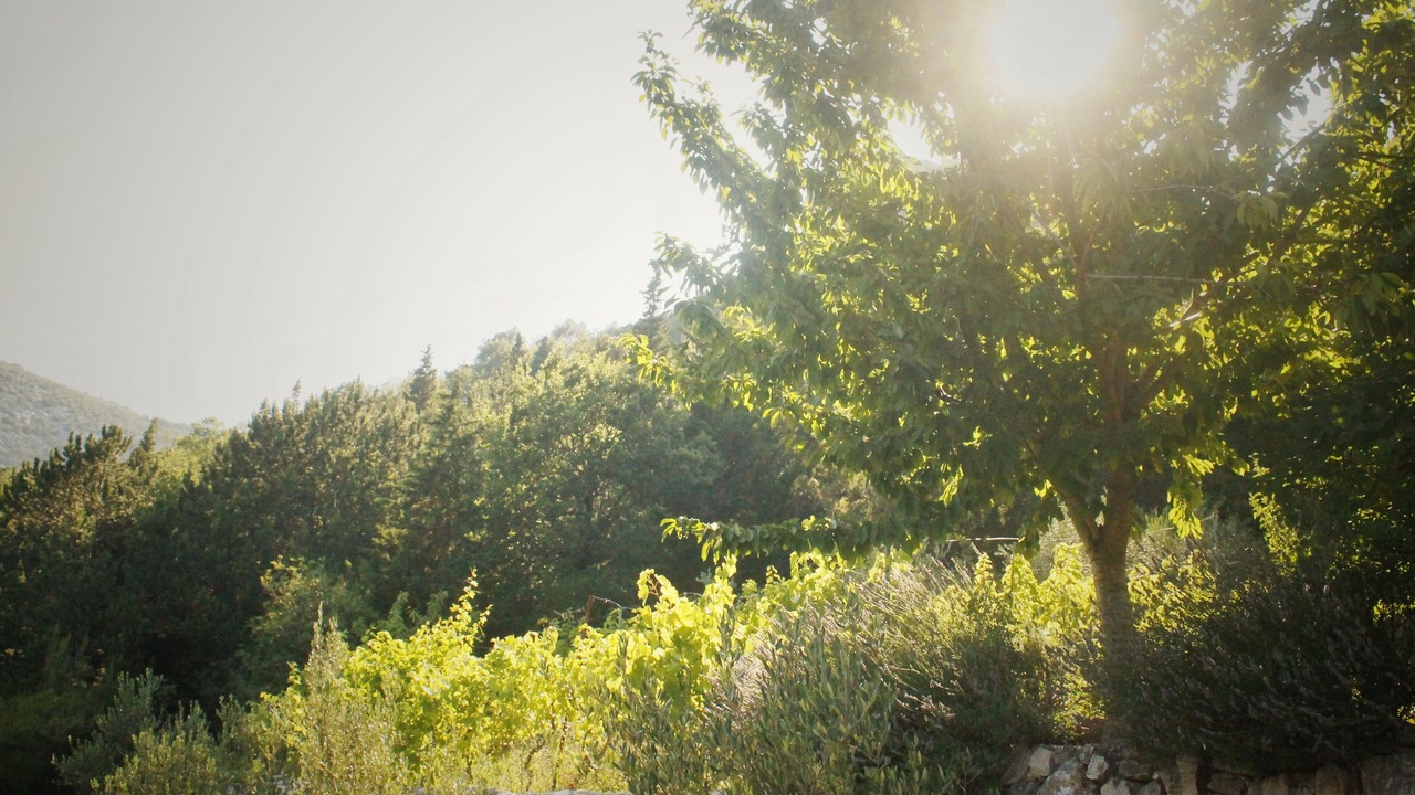 Photo of Outdoor in Omis