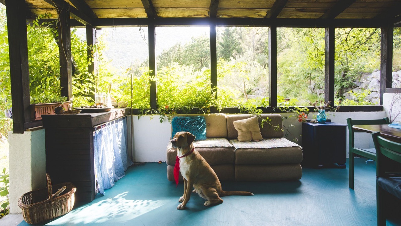 Photo of Livingroom in Omis