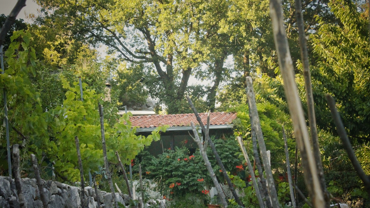 Photo of Outdoor in Omis