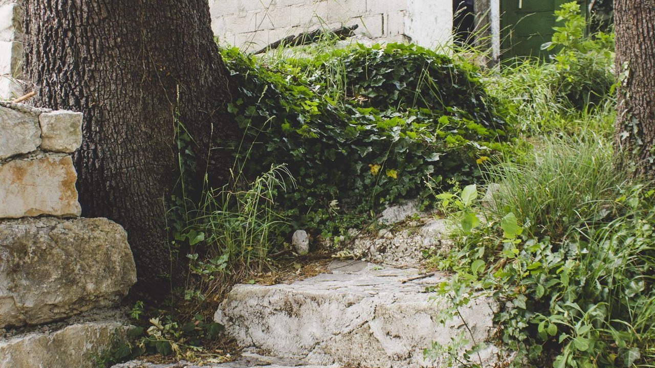 Photo of Outdoor in Omis