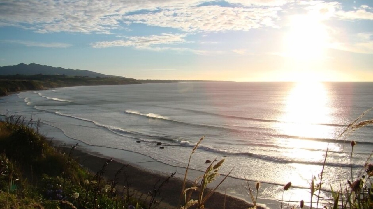 Photo of Others in New Plymouth