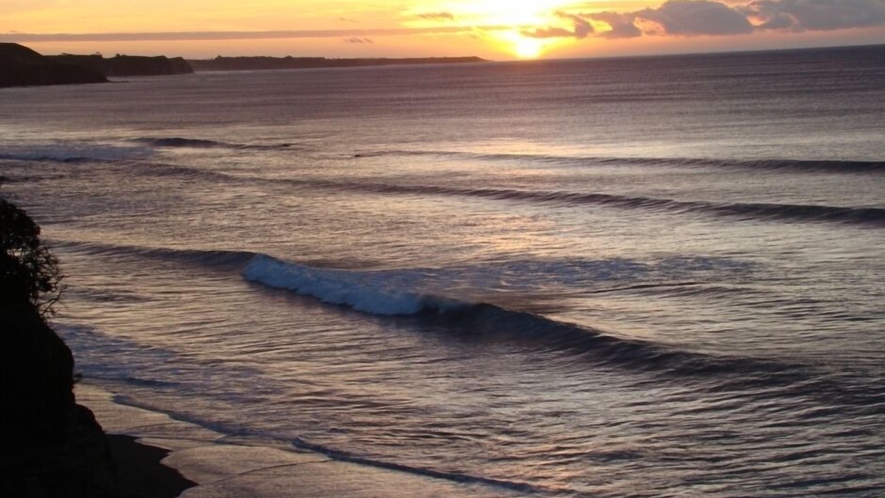 Photo of Others in New Plymouth