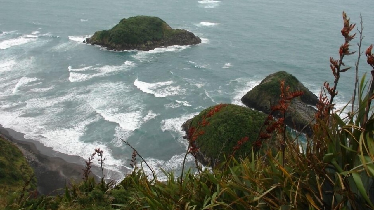 Photo of Others in New Plymouth