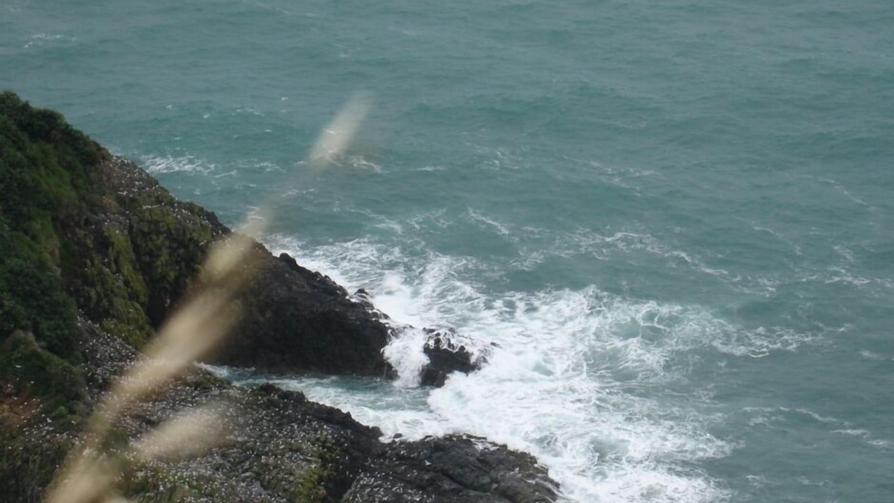 Photo of Outdoor in New Plymouth