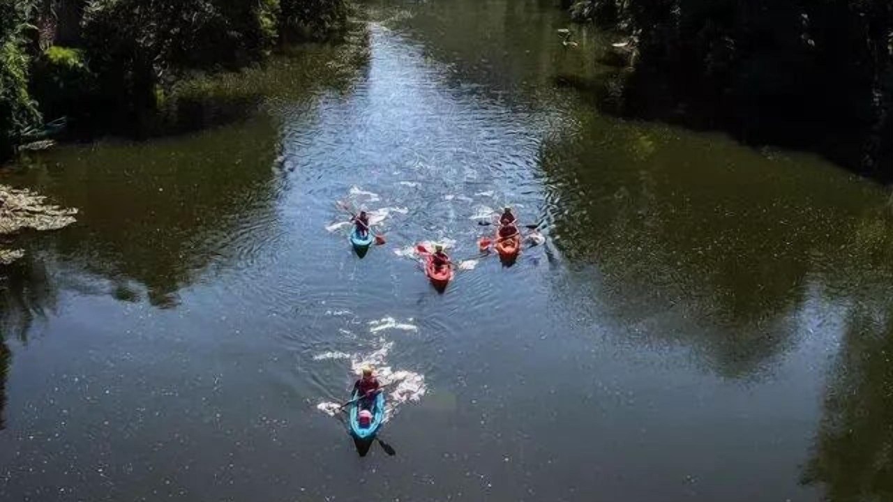 Photo of Others in Saint-Antonin Noble Val
