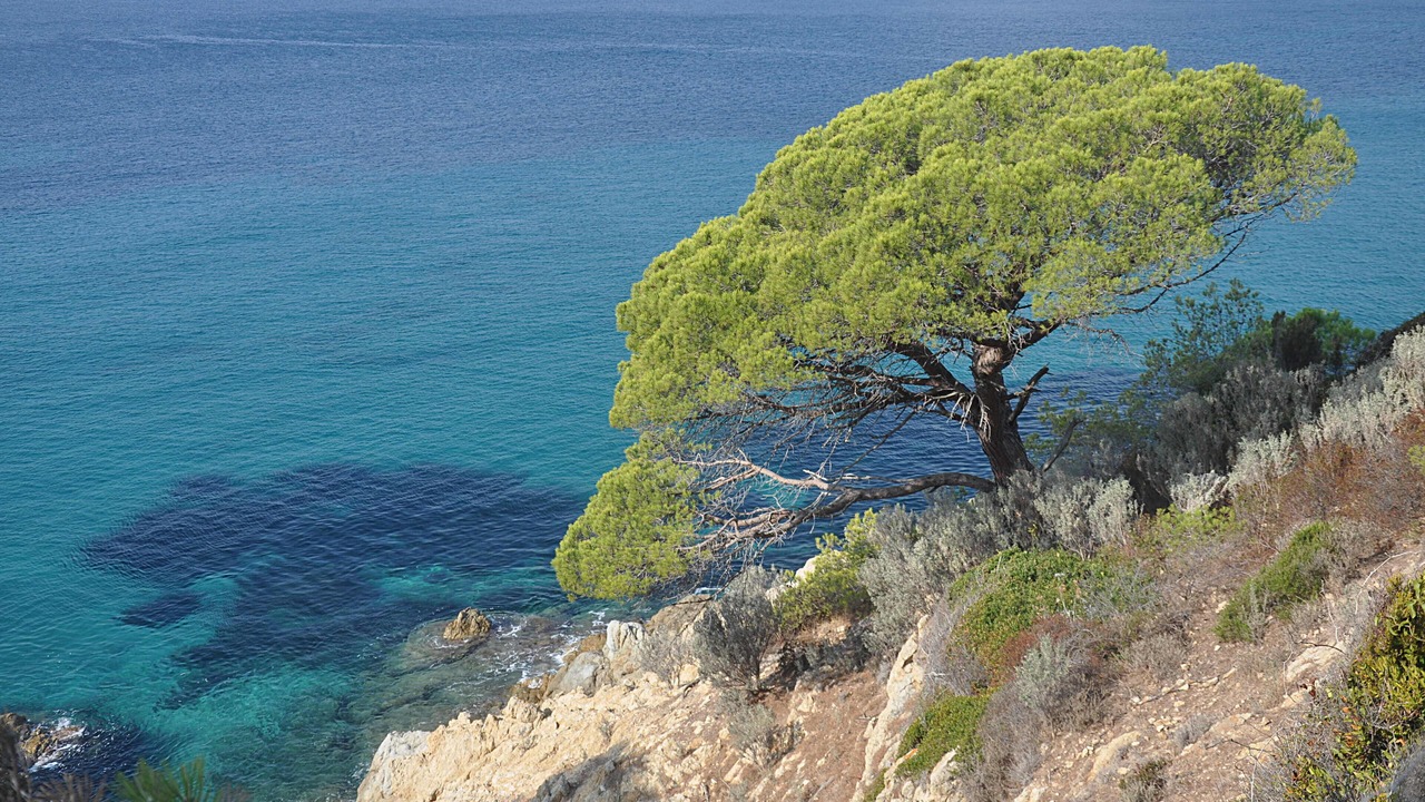 Photo of Others in Giens