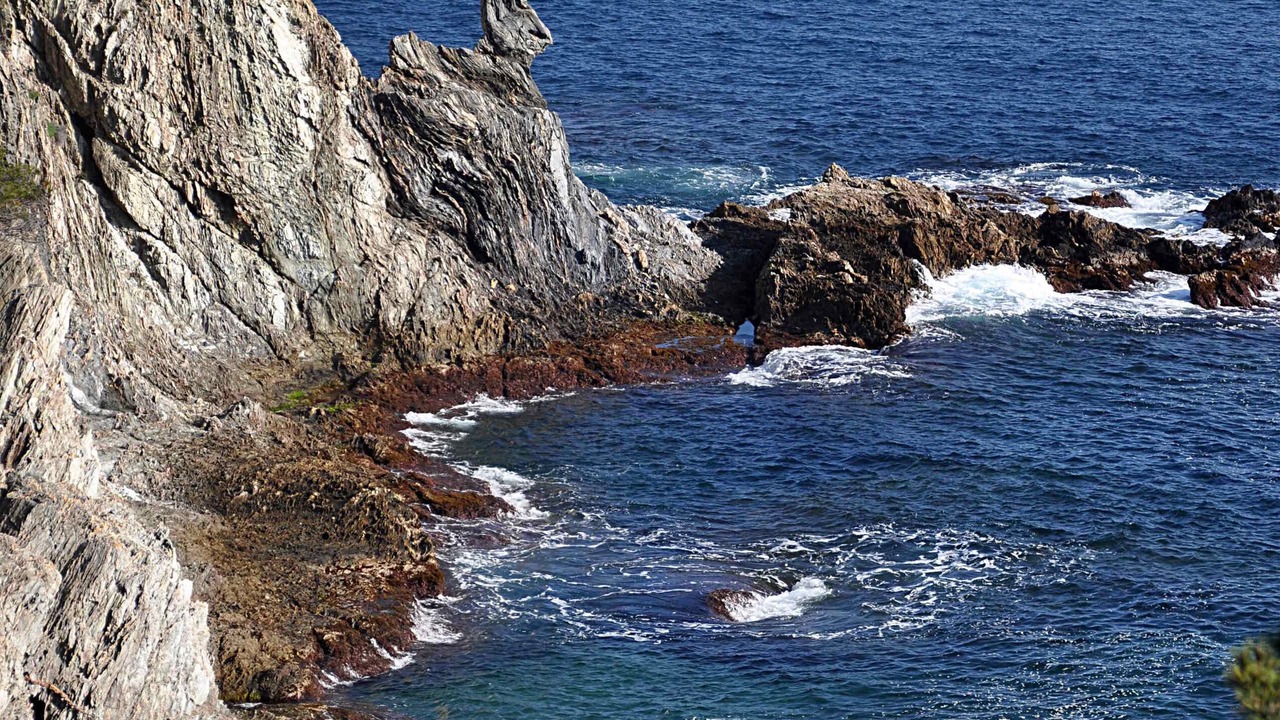Photo of Others in Giens