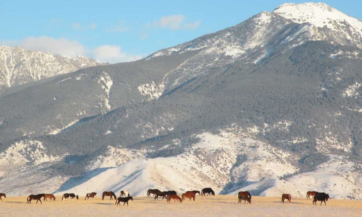 Photo of Others in Livingston