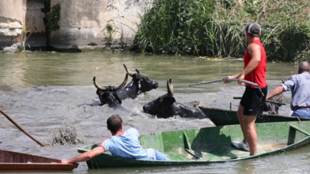 Photo of Others in Gallician