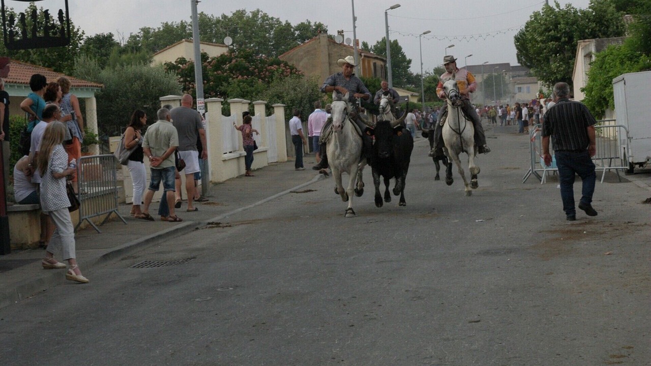 Photo of Others in Gallician