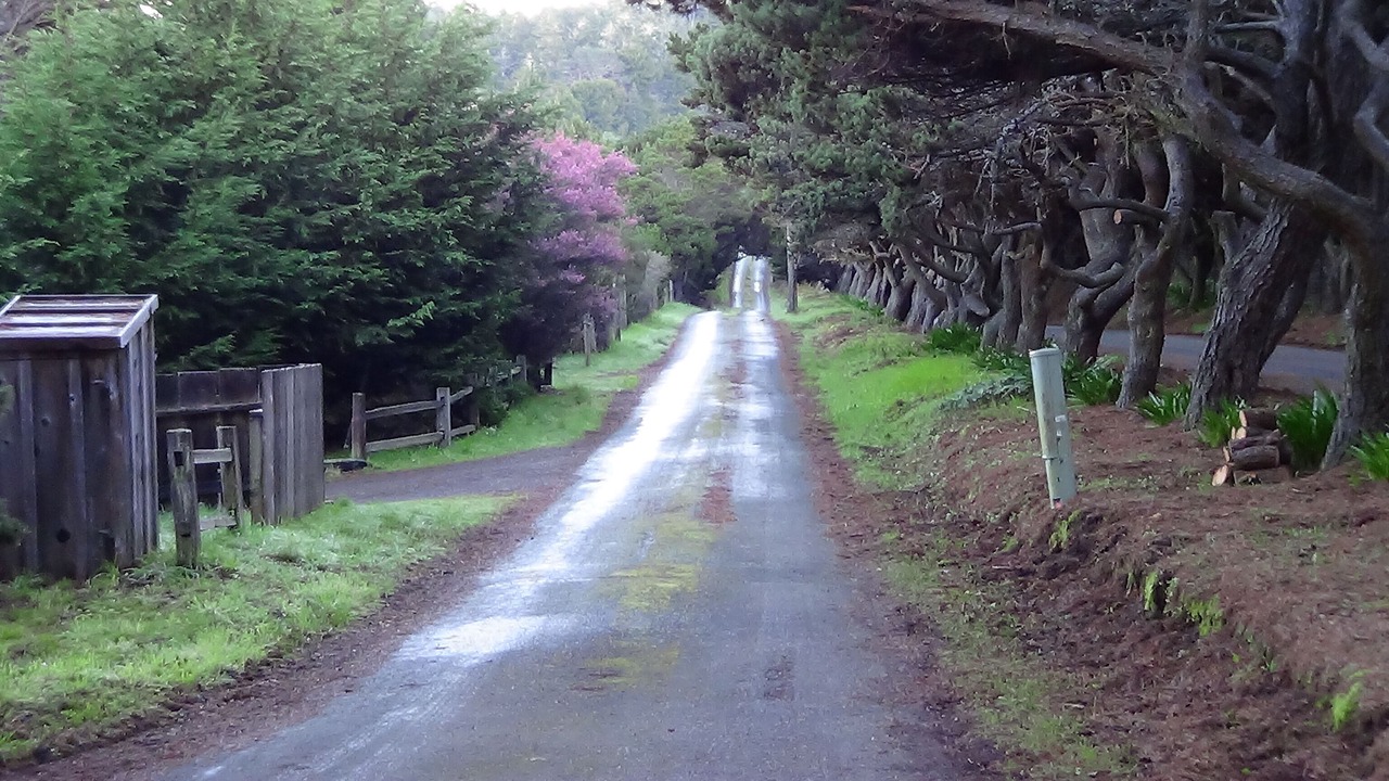 Photo of Others in Mendocino
