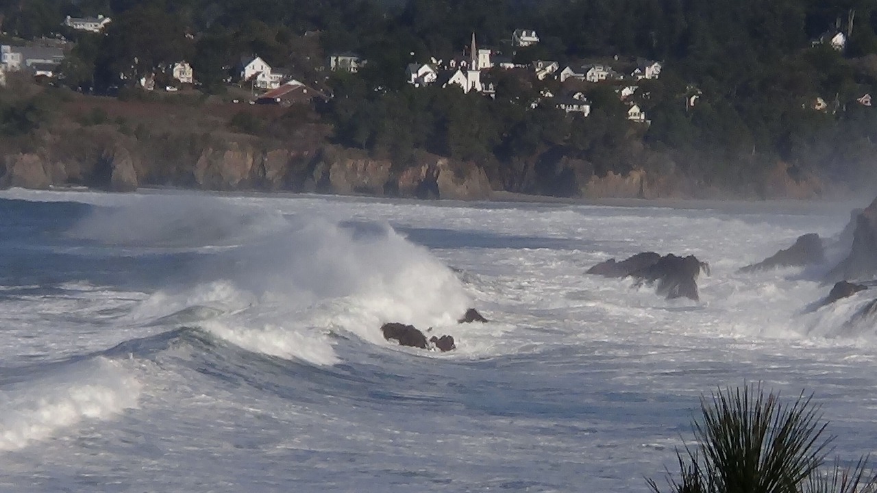 Photo of Others in Mendocino