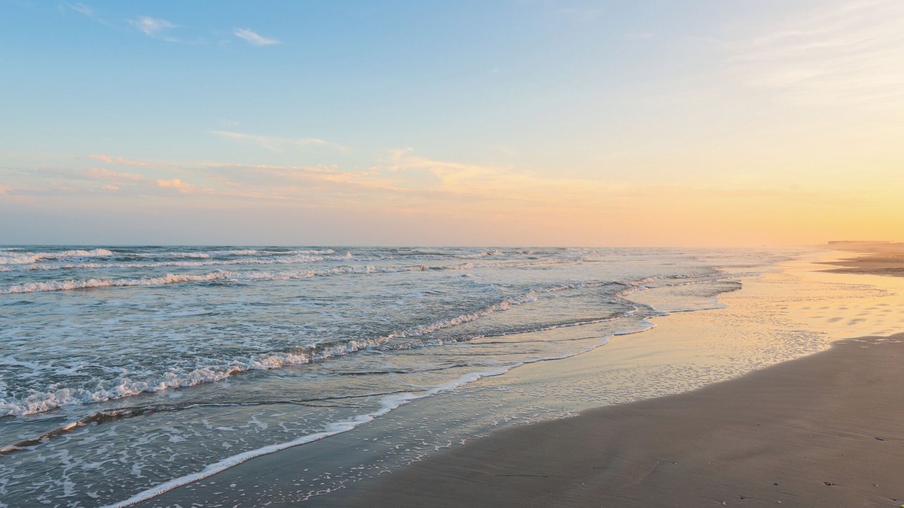 Photo of Others in Corpus Christi