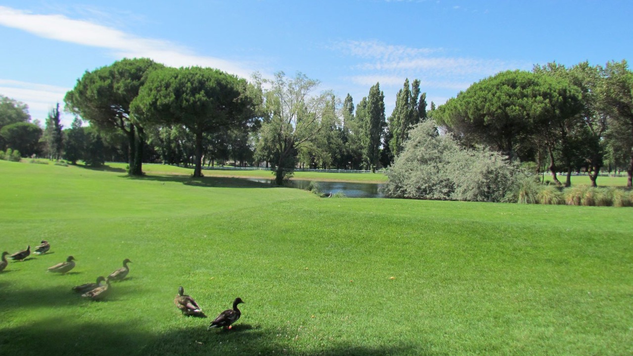 Photo of Others in La Grande-Motte