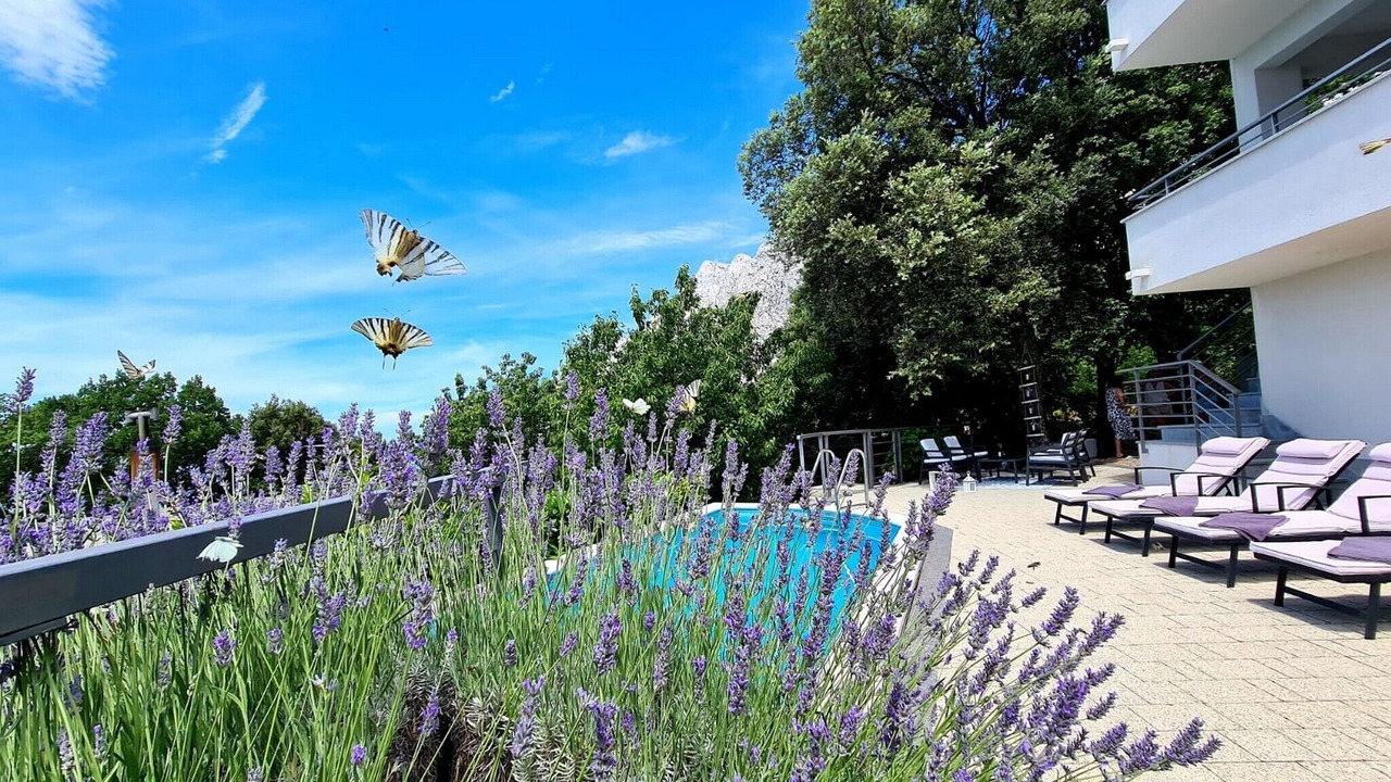 Photo of Outdoor in Bast